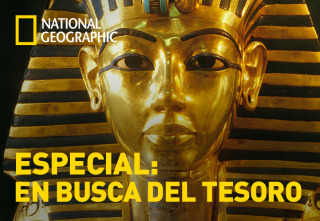 Especial: En busca del tesoro