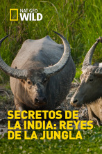 Secretos de la India: Reyes de la jungla