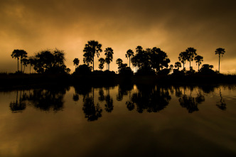 La inundación del Okavango 