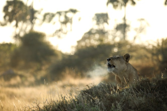 La inundación del Okavango 