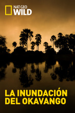 La inundación del...: Primer impulso