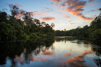 Grandes ríos: Amazonas