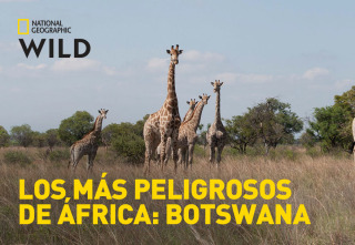 Los más peligrosos de África: Botswana 