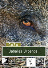 Jabalíes urbanos