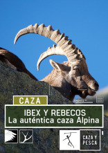 Ibex y rebecos, la autentica caza alpina