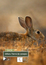 Alfaro, tierra de conejos