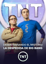 Desentrañando el misterio: la despedida de Big Bang (VOS)