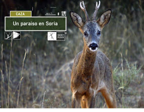 Un paraíso en Soria