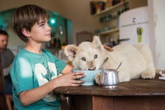 Mia y el león blanco