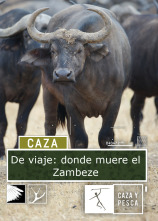 De viaje: donde muere el Zambeze