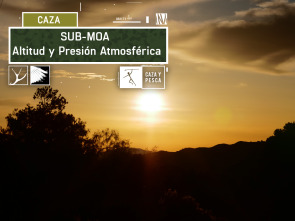 Sub Moa (T1): Altitud y presión atmosférica