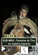 Sub Moa (T1): Factores de tiro en nuestra cacería