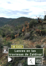 Lances en las traviesas de Zaldívar