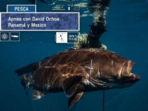 Apnea con David... (T1): Panamá y México