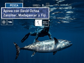 Apnea con David... (T1): Zanzibar, Fiji y Madagascar