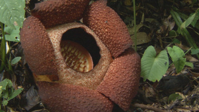 Los secretos naturales del ecuador 