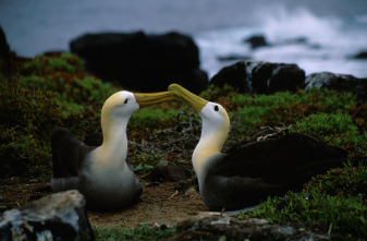 Los secretos naturales del ecuador 