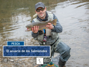 El acuario de salmónidos