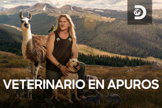 Veterinario en... (T1): Perro callejero