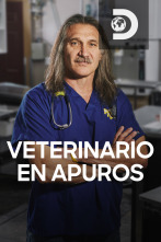 Veterinario en... (T2): Salvado por el cielo