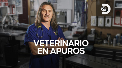 Veterinario en... (T2): Nueve vidas