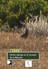 Perdiz salvaje en el corazón de La Mancha