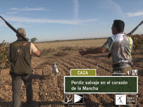 Perdiz salvaje en el corazón de La Mancha