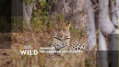 Diario de un leopardo adolescente