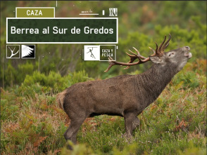 Berrea al sur de Gredos