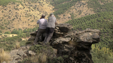 Rececho en la sierra de Baza