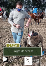 Galgos de secano