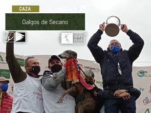 Galgos de secano