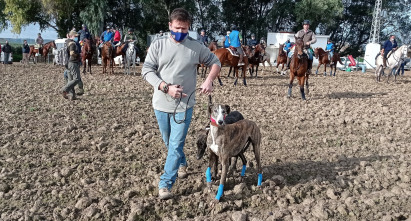 Galgos de secano