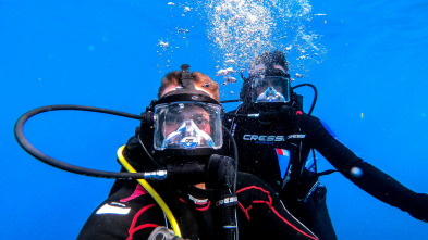 Tiburones con Shaquille O'Neal