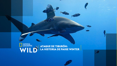 Ataque de tiburón: La historia de Paige Winter