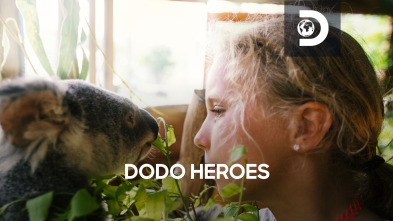 Dodo Heroes: El mayor espectáculo del mundo de Jan y Tim