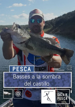 Max Predators... (T1): Basses a la sombra del Castillo