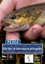 Río Olo: el laboratorio portugués