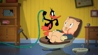 Looney Tunes... (T1): Carrera tortu-osa / Lucas, el dentista