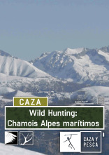 Wild hunting (T2): Chamois Alpes marítimos