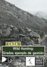 Wild hunting (T2): Gredos ejemplo de gestión