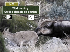 Wild hunting (T2): Gredos ejemplo de gestión