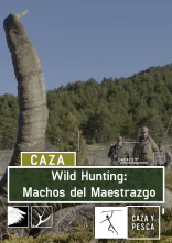 Wild hunting (T2): Machos del Maestrazgo