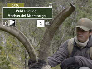 Wild hunting (T2): Machos del Maestrazgo