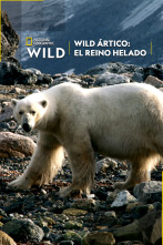 Wild Artico: el reino helado