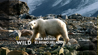 Wild Artico: el reino helado