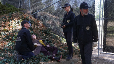 NCIS: Naval... (T19): Ep.9 Memoria colectiva