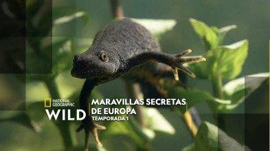 Maravillas secretas de Europa 