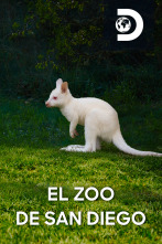 El zoo de San Diego 