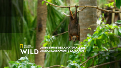 Monstruos de la naturaleza: maravillosamente extraños